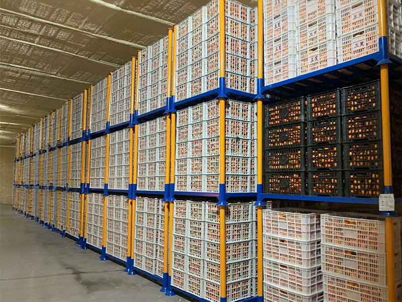 Fruit Storage